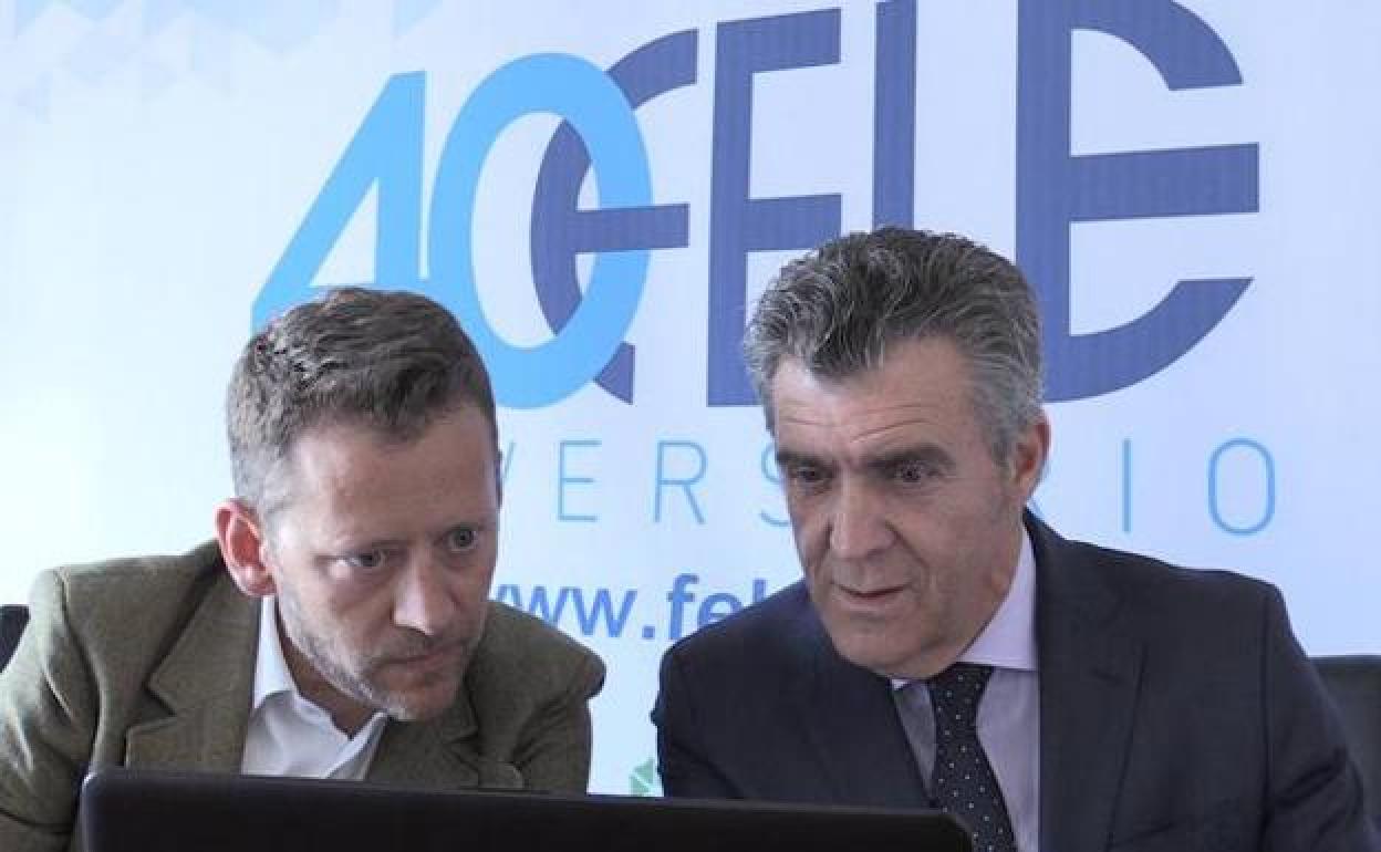 Fele habilita un correo electrónico para mantener un contacto directo y permanente con las empresas ante la situación por el COVID-19