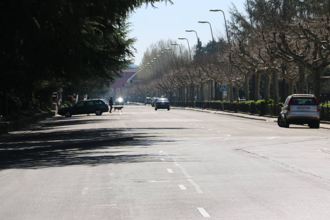 Fotos: León, sin Rastro