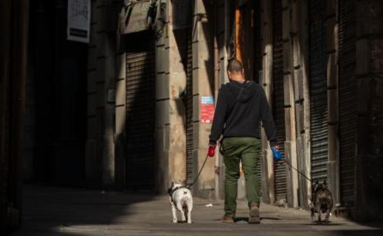 La Fiscalía avisa de adopciones ilegales de perros como excusa para saltarse el confinamiento