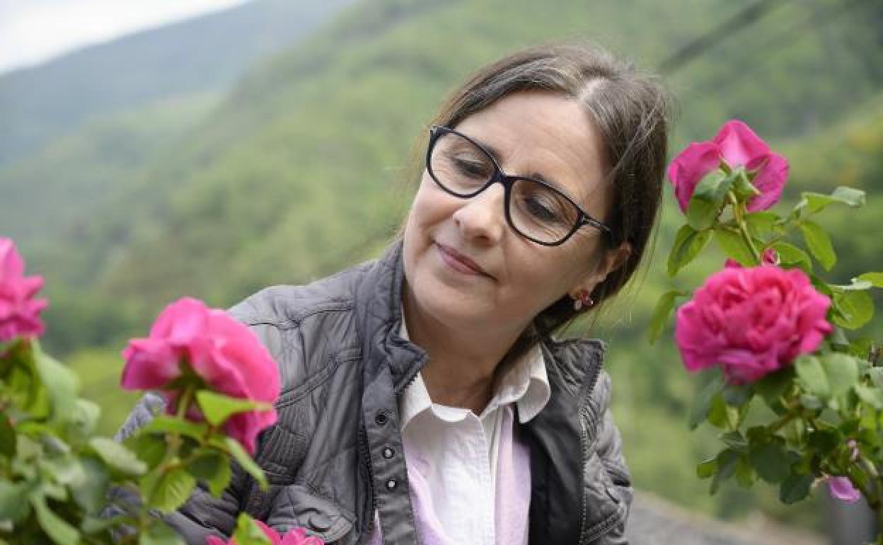 Carmen Martínez, con las rosas Narcea, en Carballo, el pueblo del valle del Cibea donde se recuperaron. 