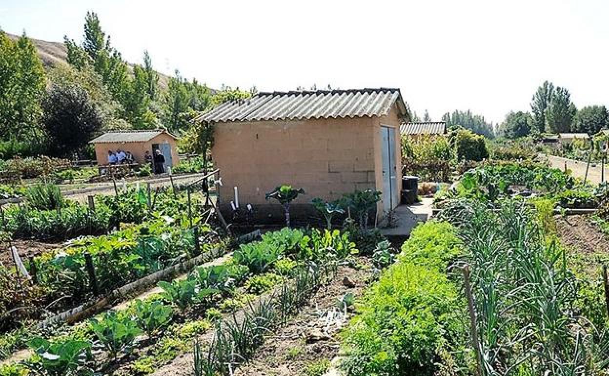 Imagen de los Huertos de la Candamia.