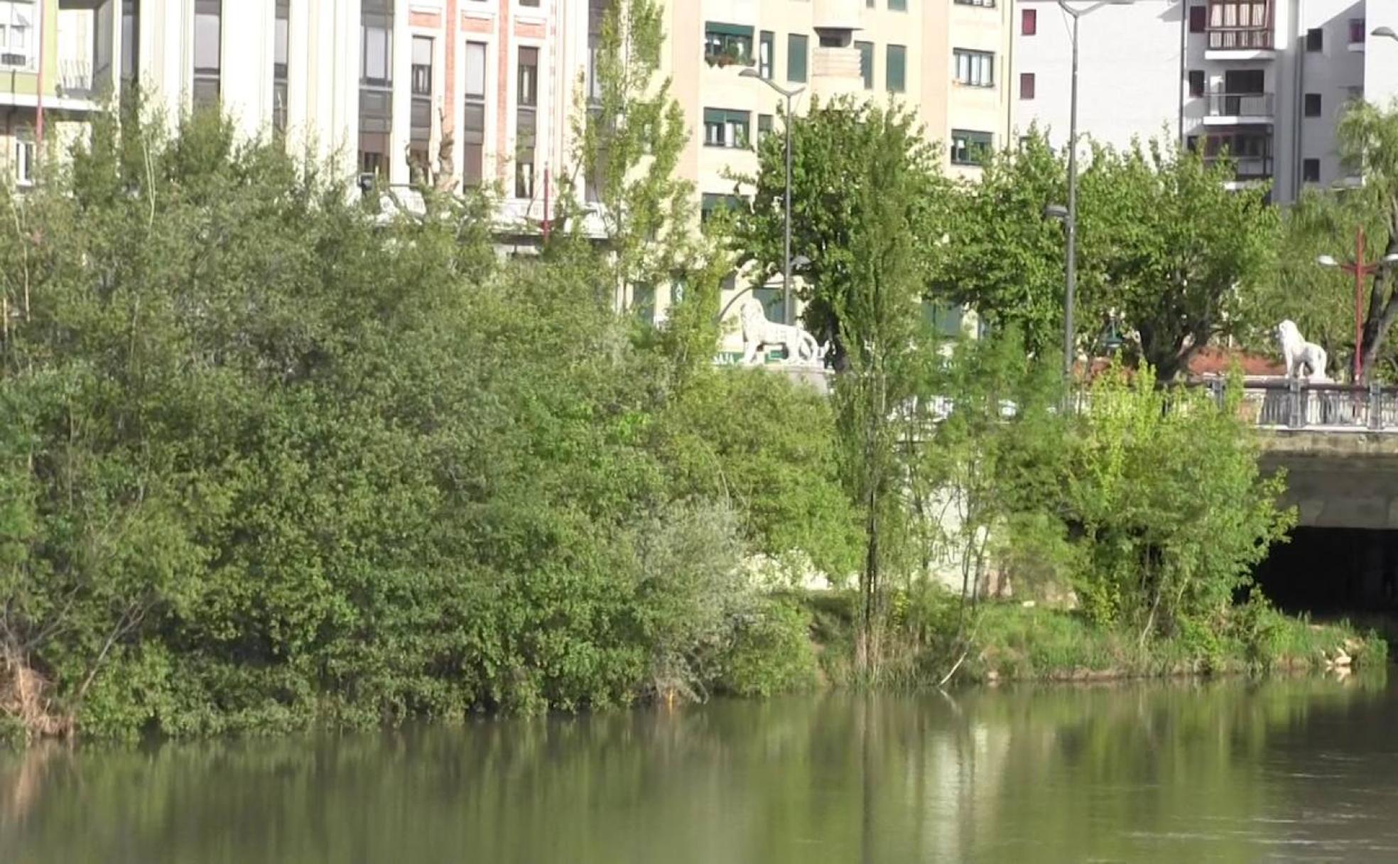 Una imagen del río este sábado. 