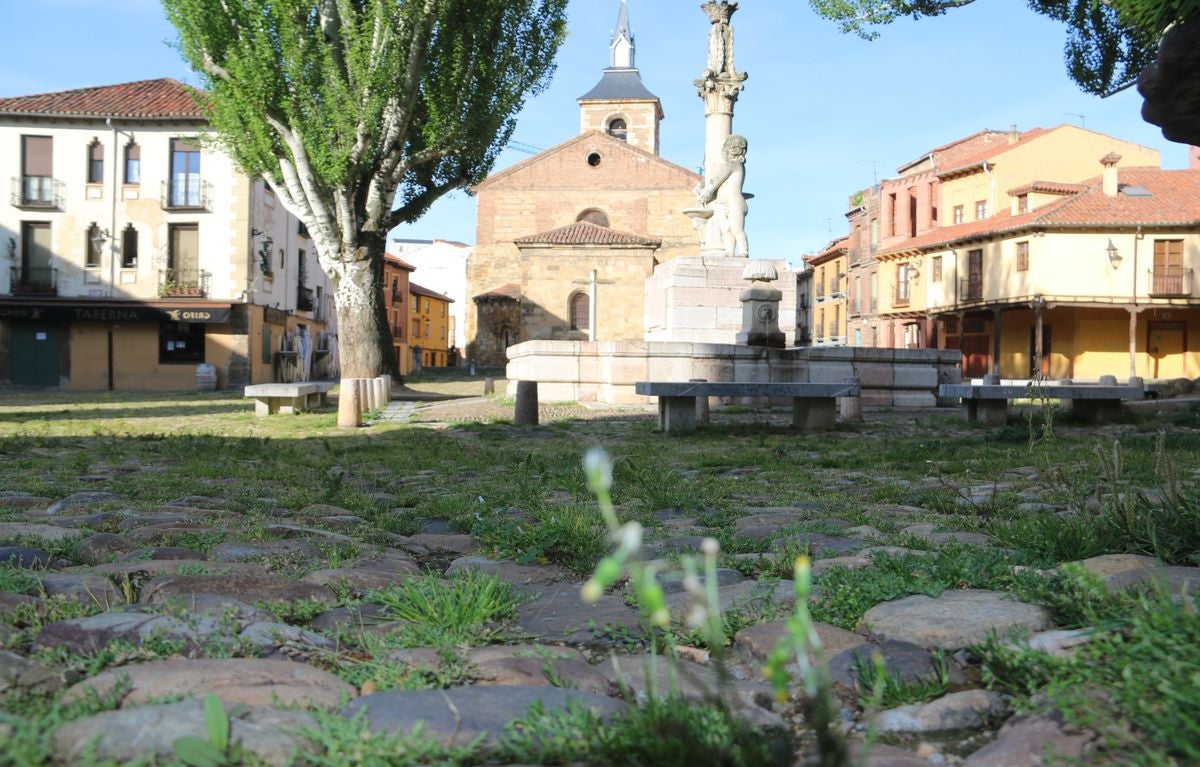 Fotos: El &#039;verdín&#039; vuelve a la Plaza del Grano