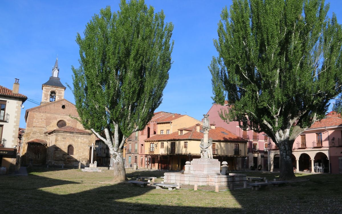 Fotos: El &#039;verdín&#039; vuelve a la Plaza del Grano