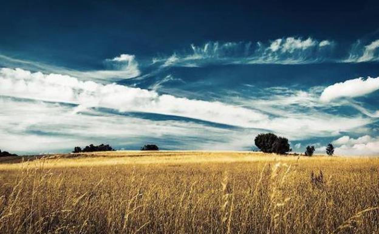 La Junta considera que «el mundo rural no debe seguir confinado» ni 'pagar' por los casos de las ciudades