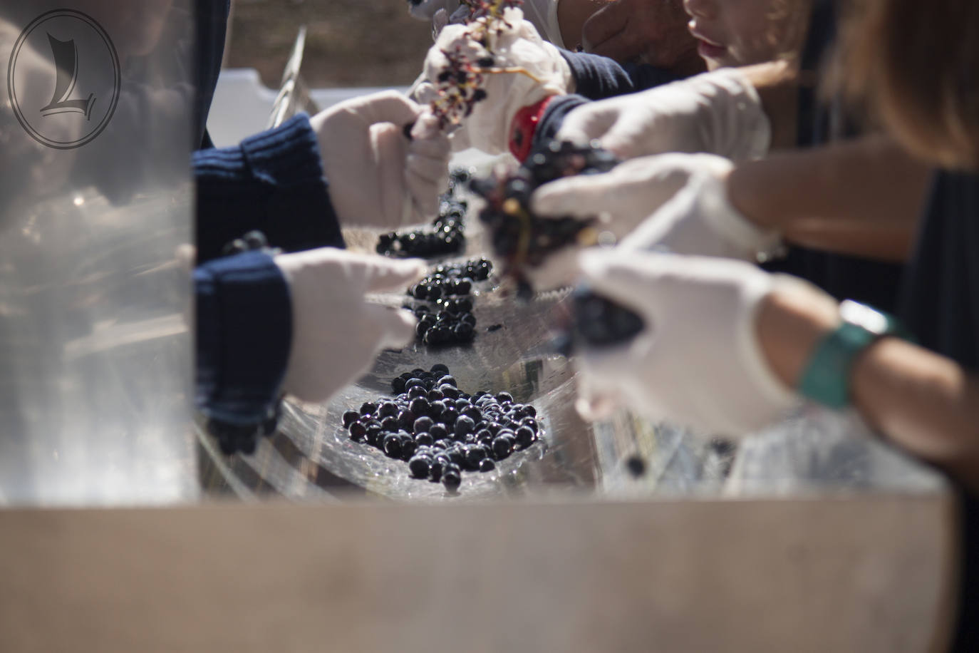 Fotos: Un recorrido por el interior de la bodega