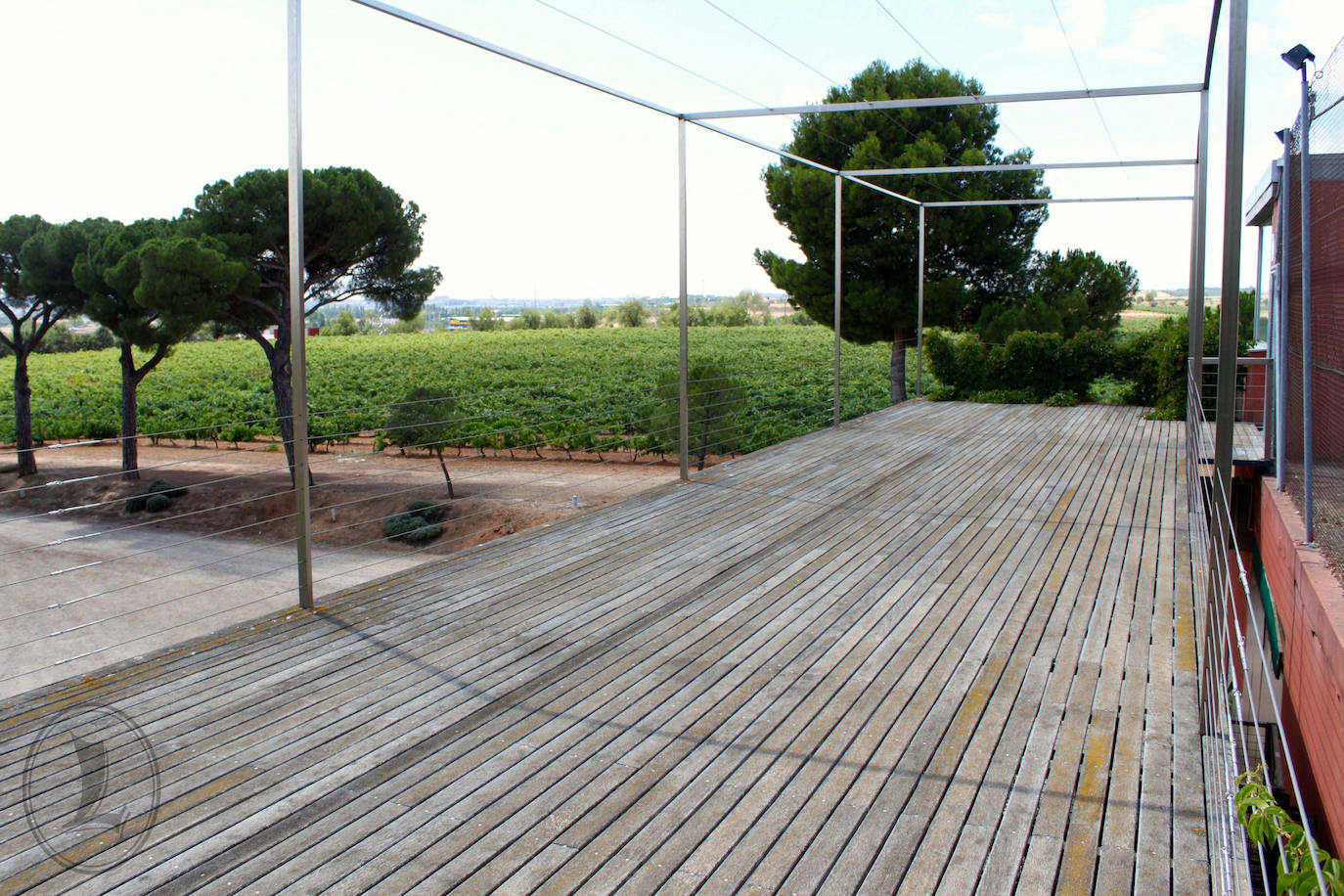 Fotos: Un recorrido por el interior de la bodega