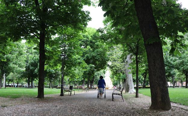 Una mujer pasea entre los árboles del Jardín de San Francisco. 