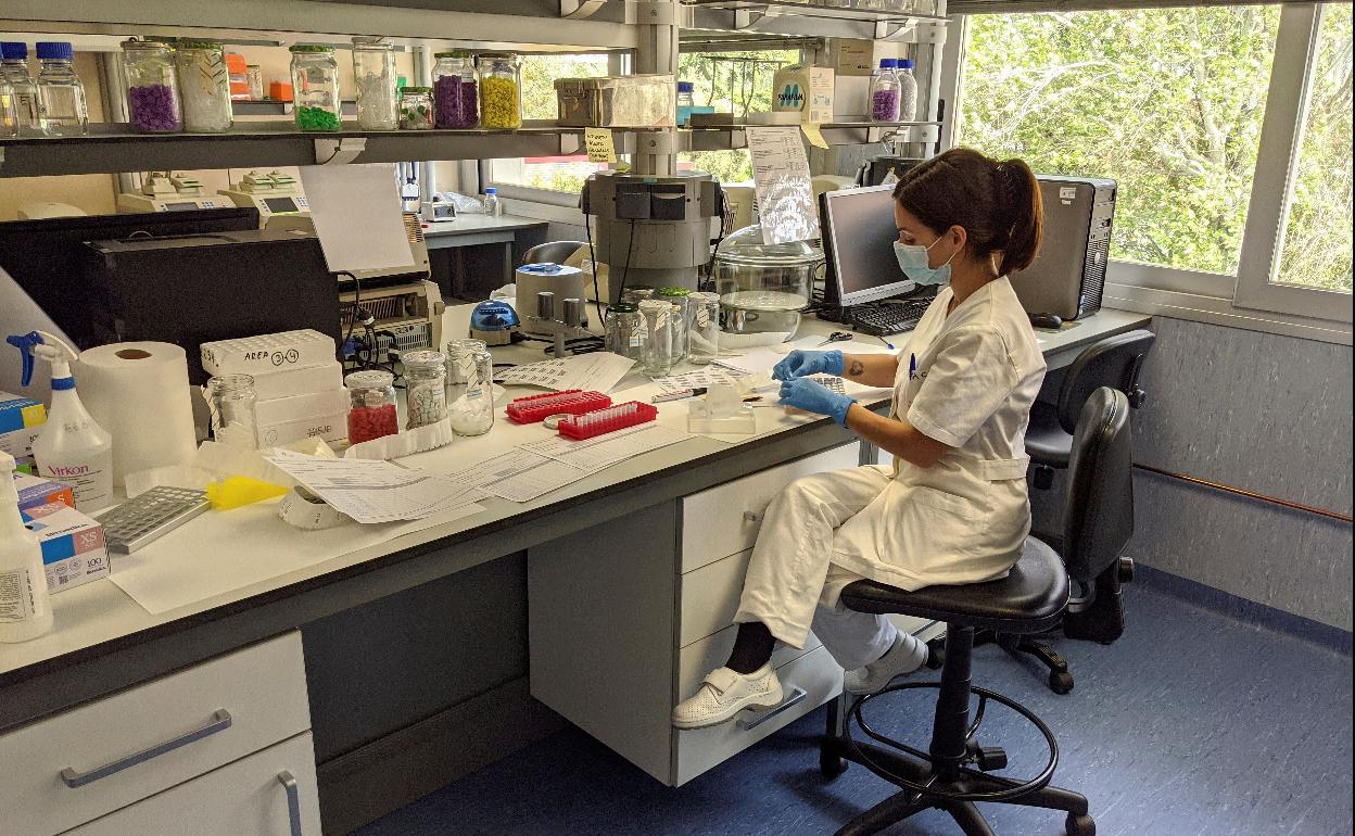 Preparativos para pruebas en el Instituto de Salud Carlos III de Madrid.