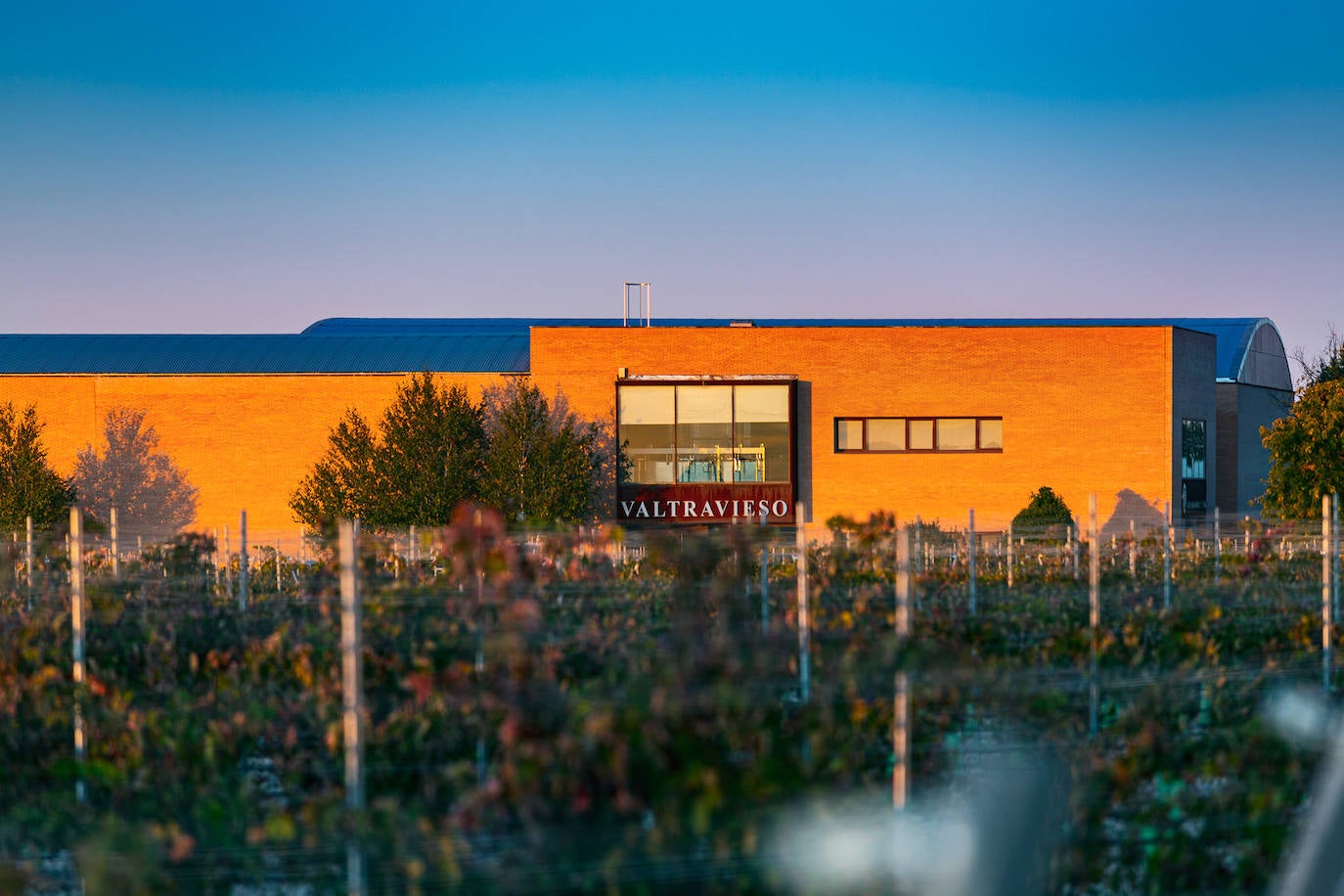 Fotos: Una bodega dorada al sol