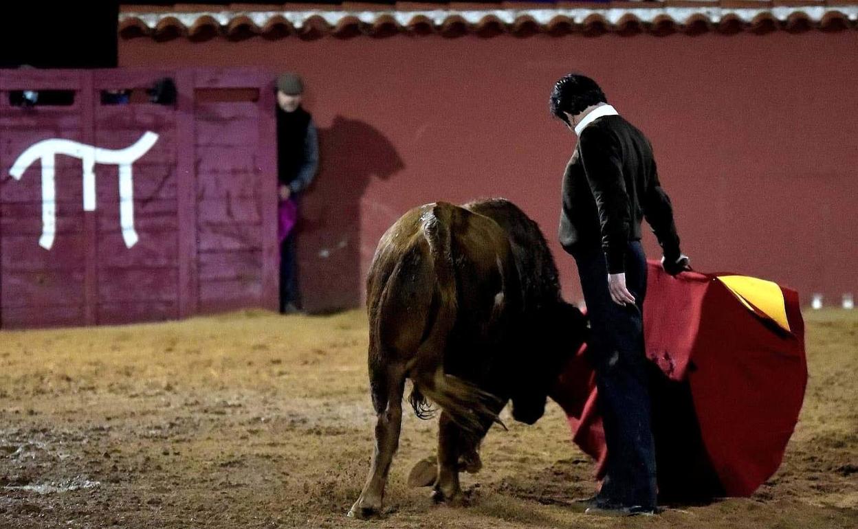 La ganadería El Pilar.