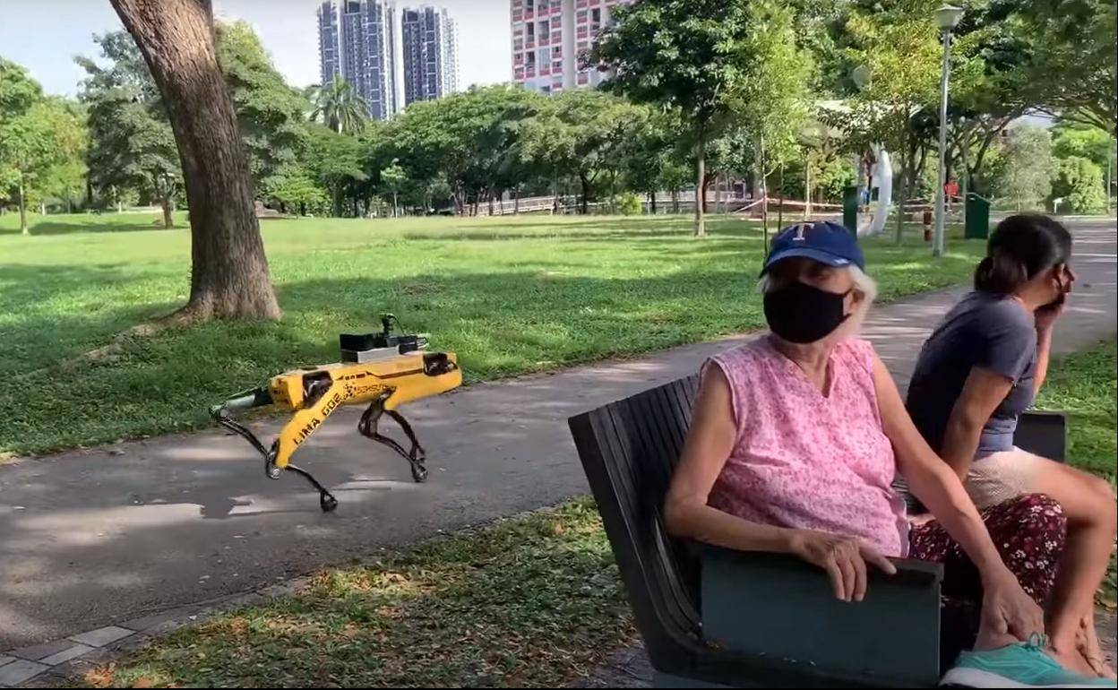 Captura de pantalla de un vídeo de 'Strait Times' que muestra a Spot patrullando el parque Mo Kio, en Bishan-Ang, Singapur.