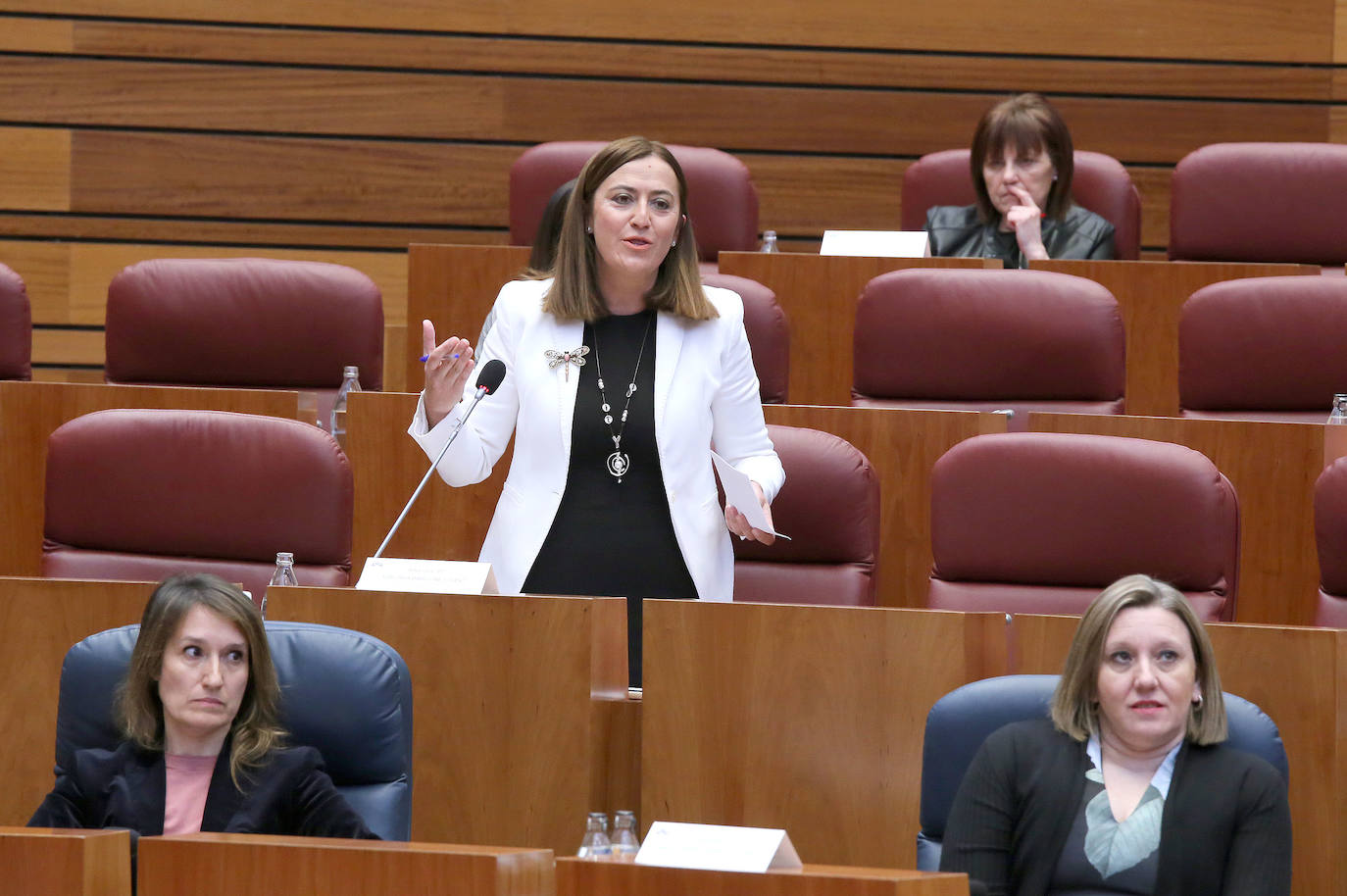Fotos: Pleno de las Cortes de Castilla y León