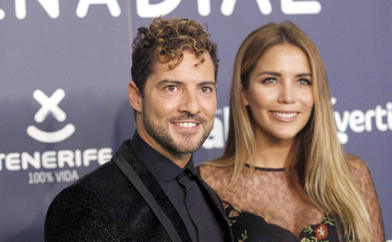 El cantante David Bisbal y Rosanna Zanetti serán de nuevo padres a finales de año.