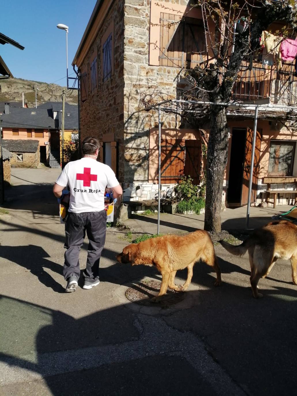 Fotos: Trabajos de Cruz Roja