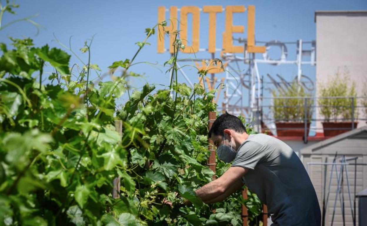 Un jardinero realiza labores de mantenimiento en el Hotel Wellington de Madrid.