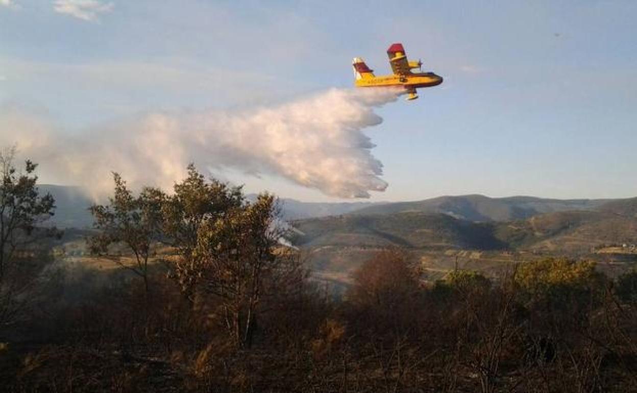 Un hidroavión lucha contra un incendio.