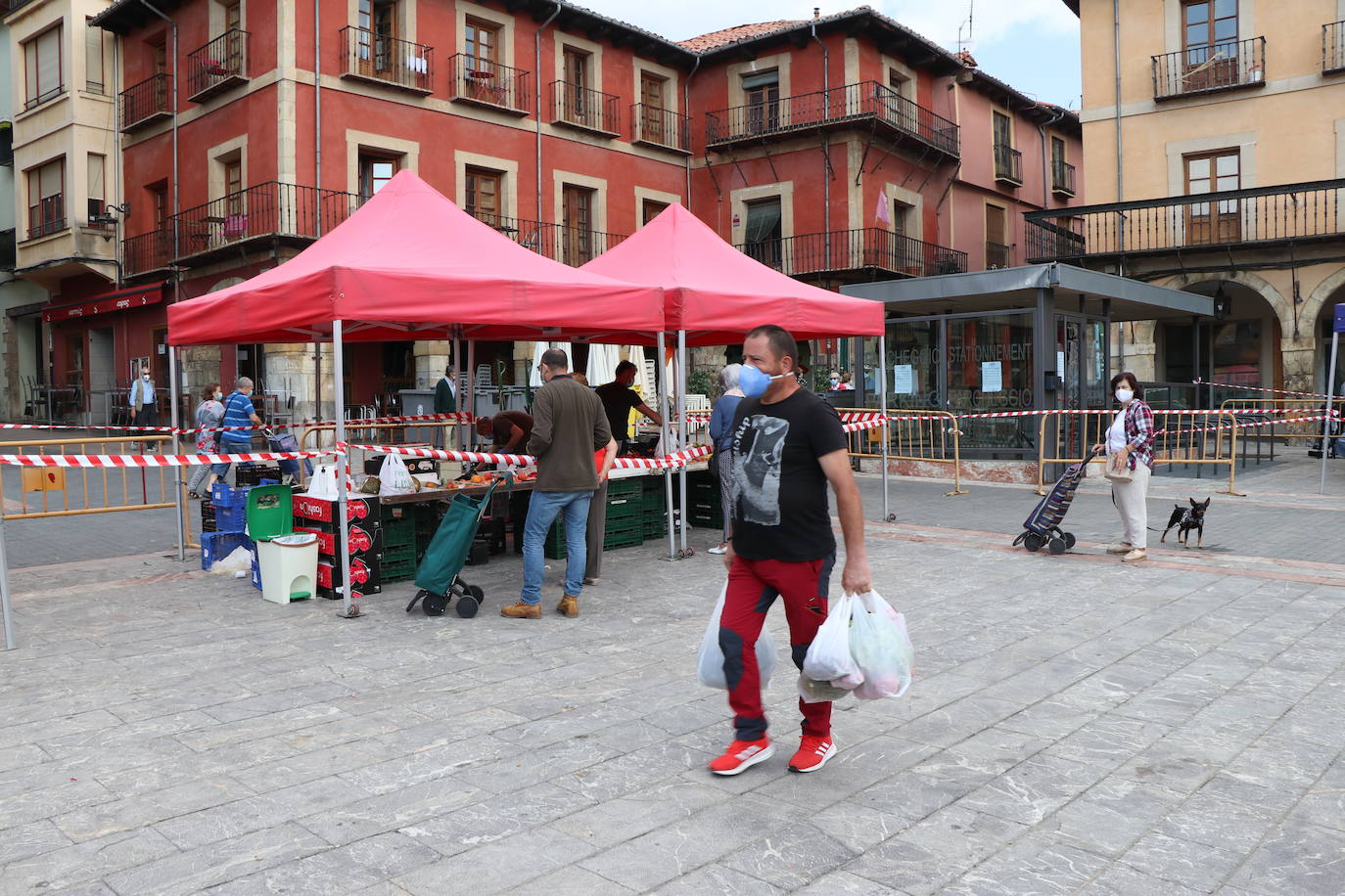 Fotos: El Mercado de la Plaza Mayor vuelve a la vida