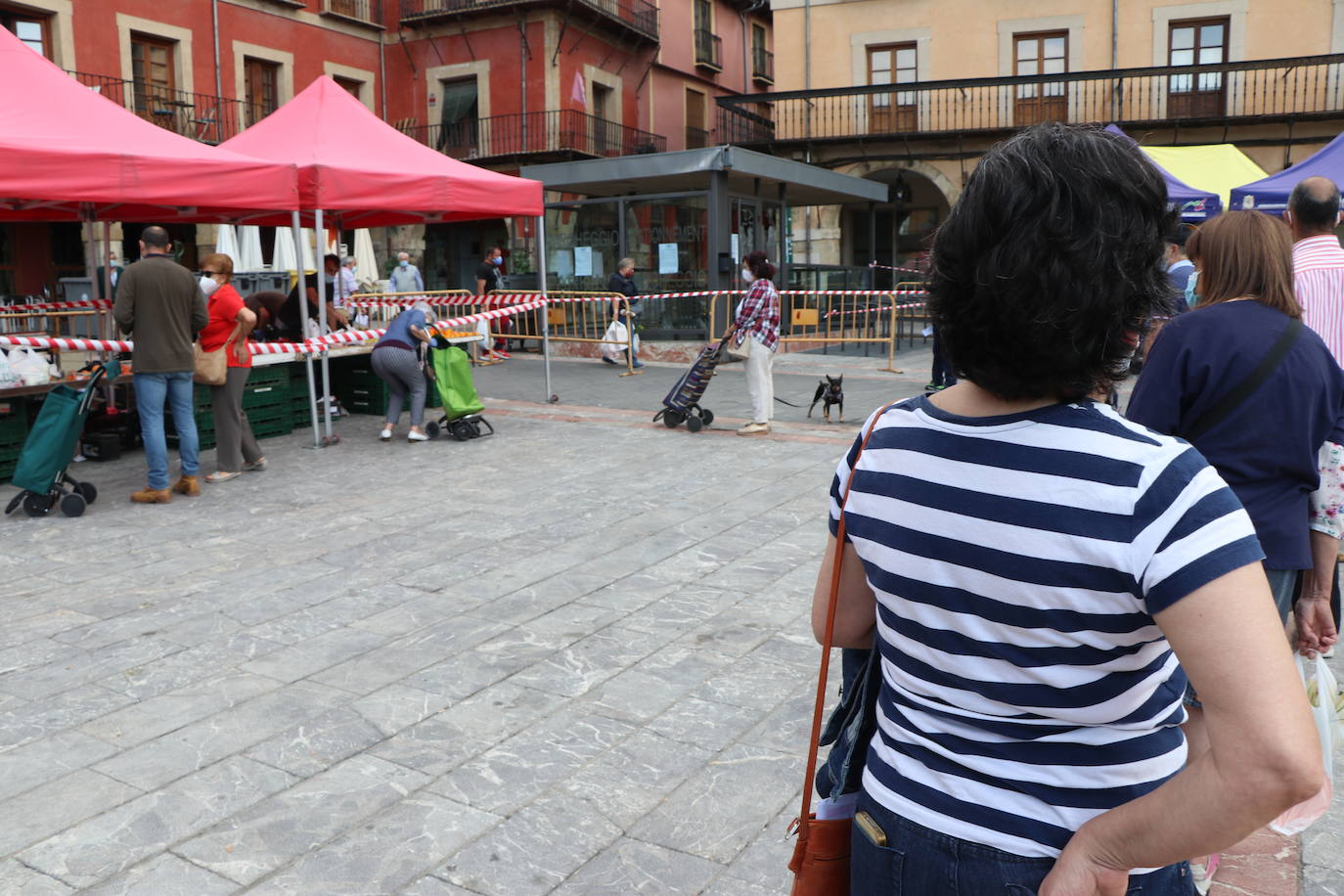 Fotos: El Mercado de la Plaza Mayor vuelve a la vida