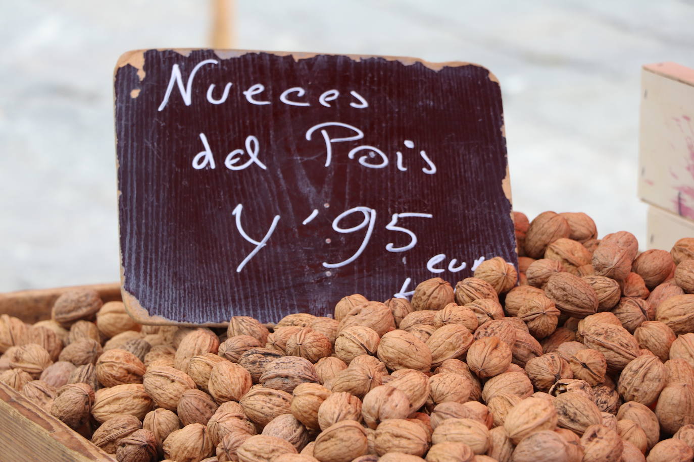 Fotos: El Mercado de la Plaza Mayor vuelve a la vida
