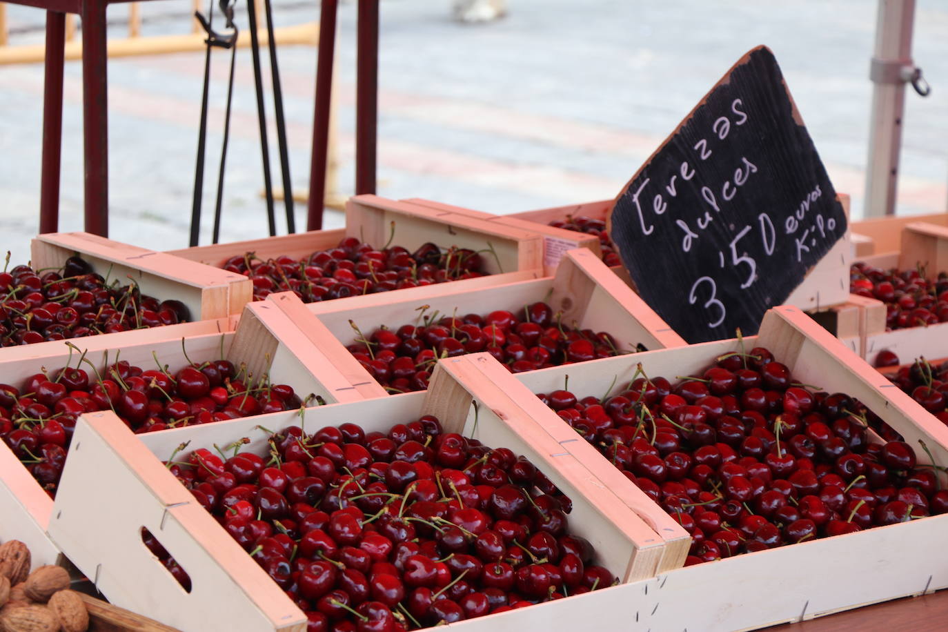 Fotos: El Mercado de la Plaza Mayor vuelve a la vida