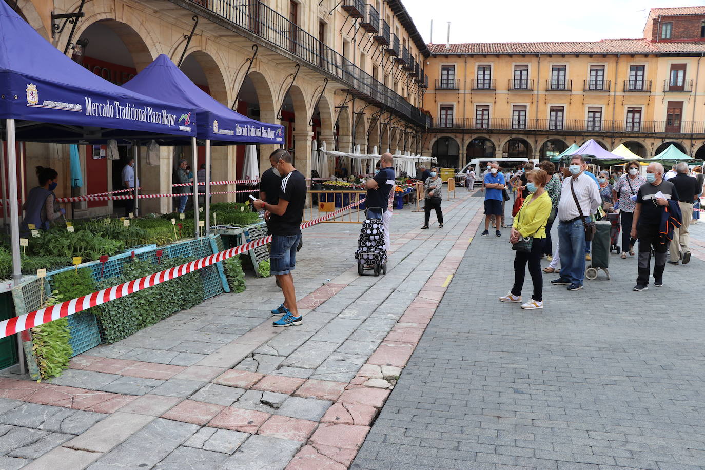Fotos: El Mercado de la Plaza Mayor vuelve a la vida