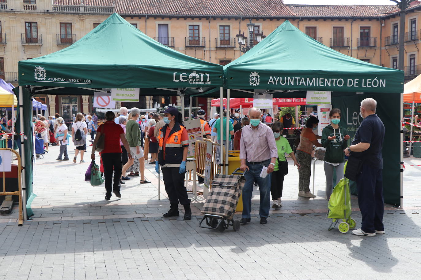 Fotos: El Mercado de la Plaza Mayor vuelve a la vida