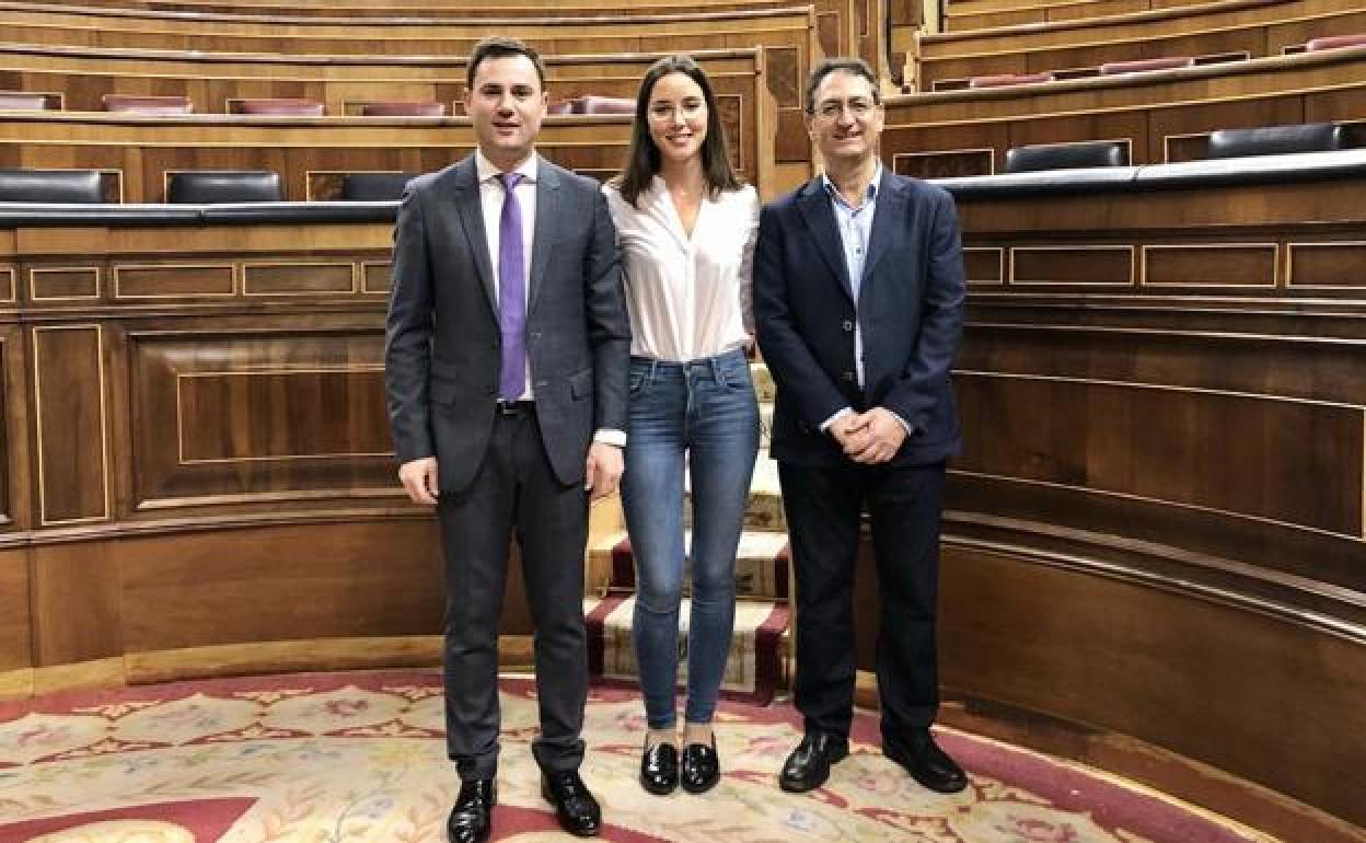 Diputados y senador del PSOE por León. 