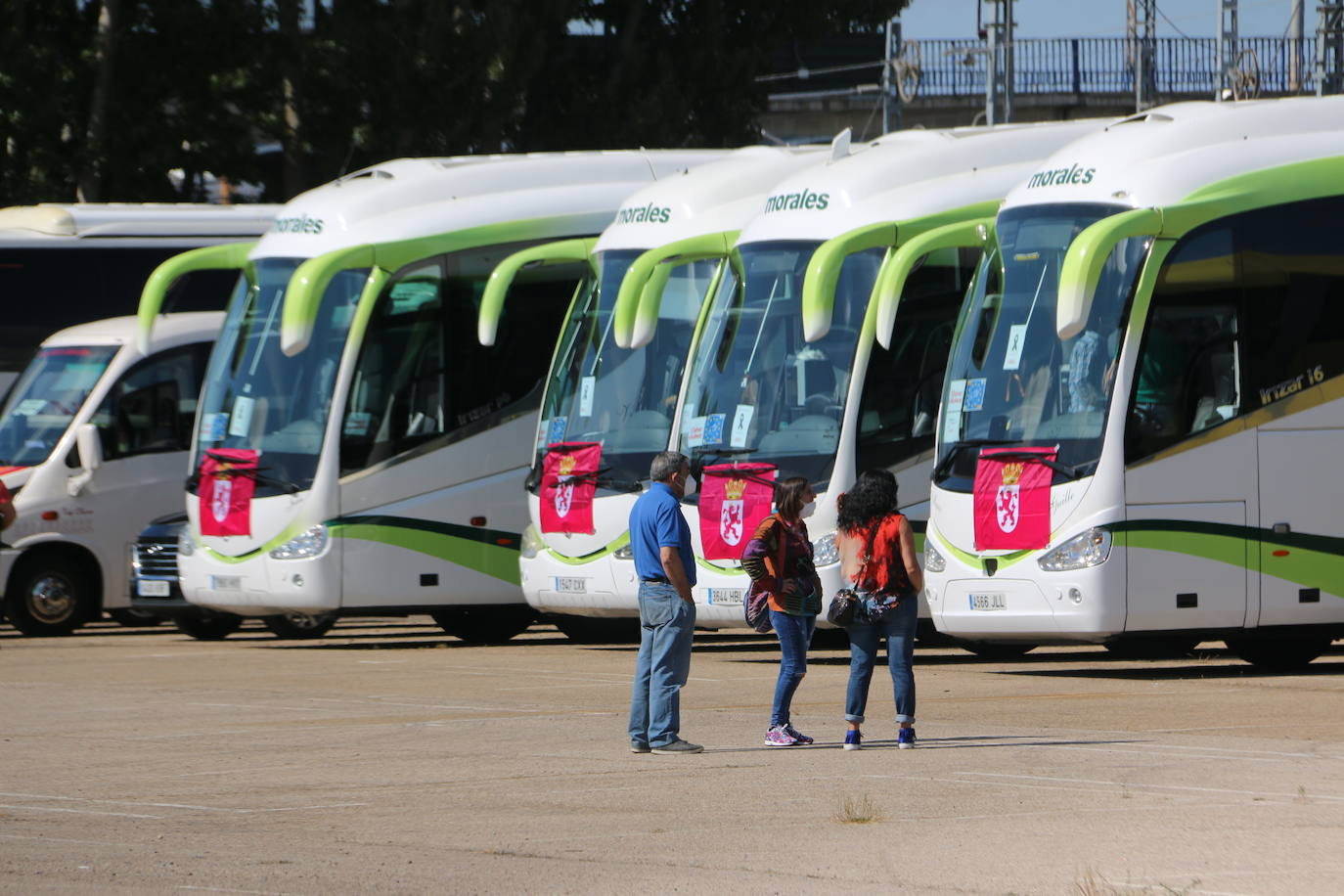 Los buses del servicio discrecional salen a las calles para reivindicar ayudas al sector.