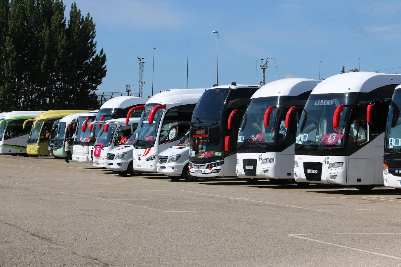 Los buses del servicio discrecional salen a las calles para reivindicar ayudas al sector.