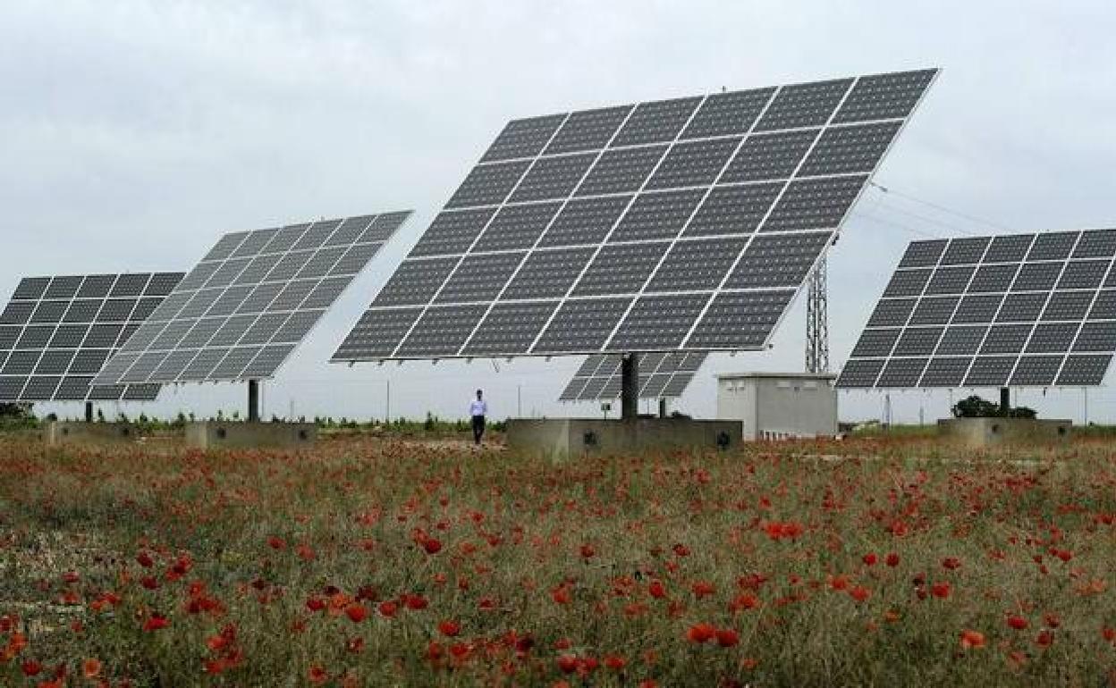 Imagen de una planta fotovoltaica.