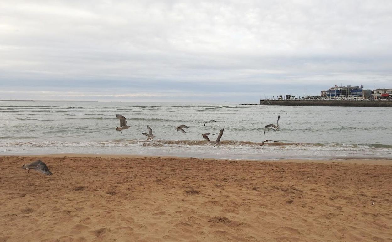 Imagen de la Playa de San Lorenzo, en Gijón, un clásico de los leoneses en Asturias.