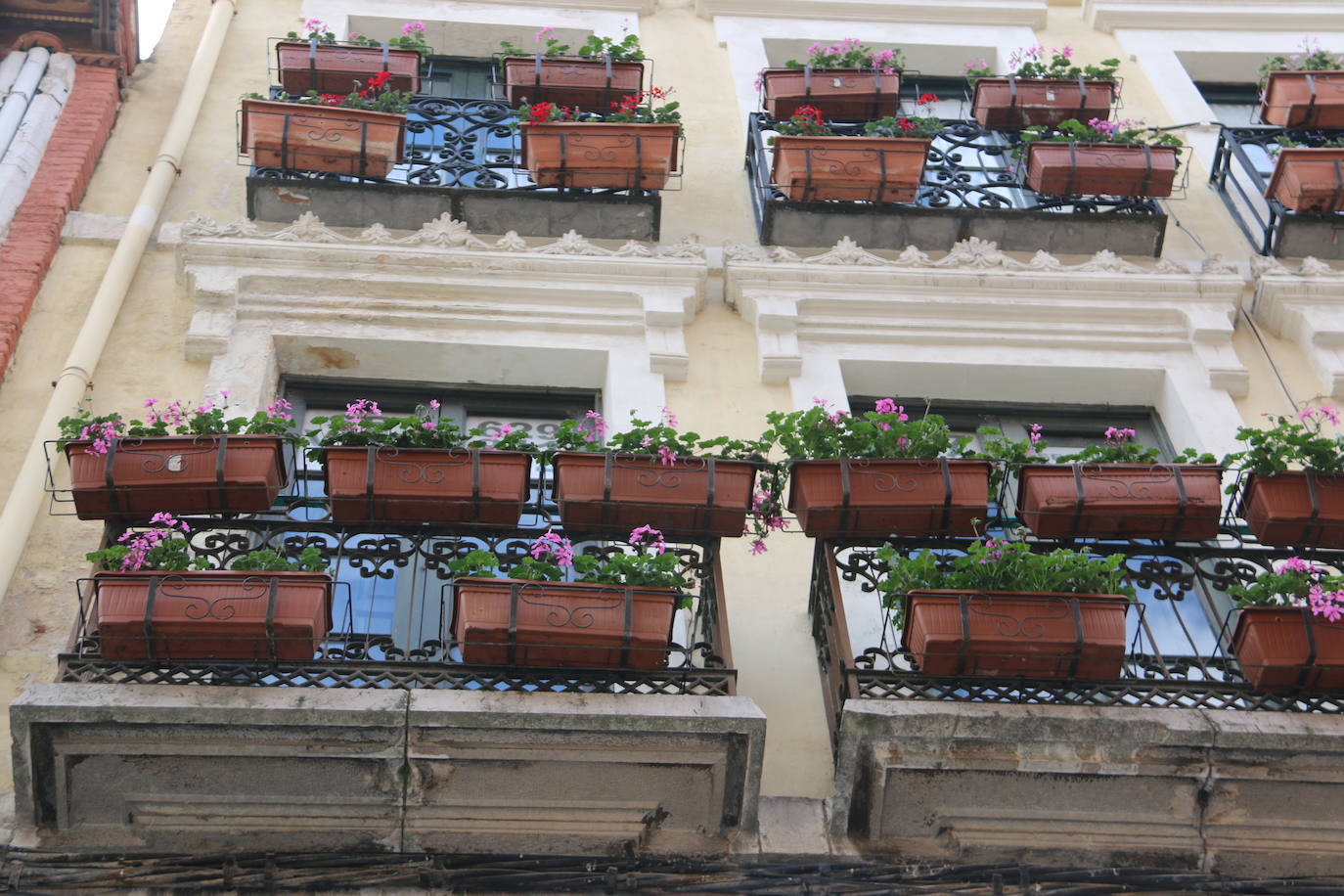 Fotos: De flor en flor en la calle Ancha