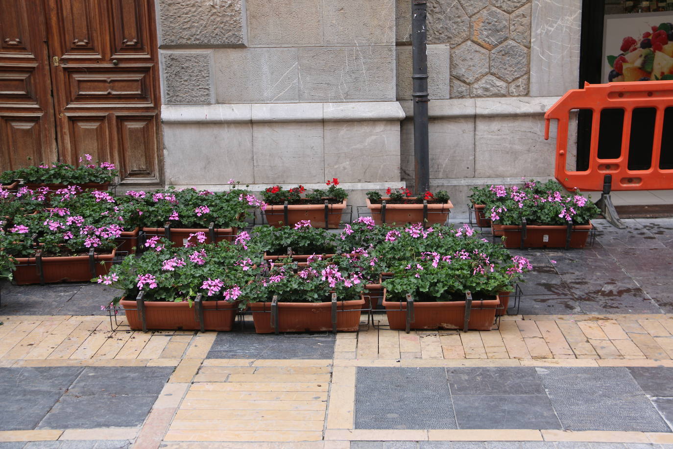 Fotos: De flor en flor en la calle Ancha