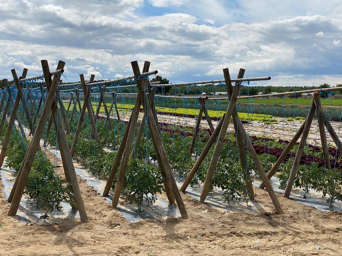 Fresno de la Vega es famoso por su huerta.