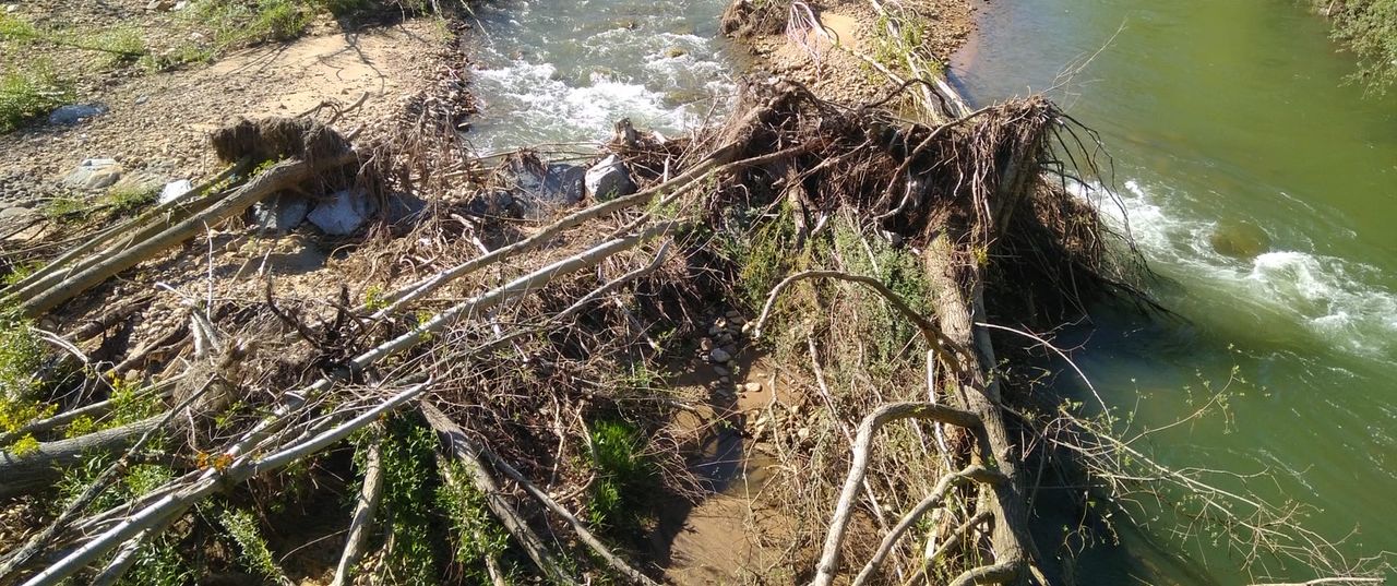 UPL reclama al equipo de gobierno del PSOE más diligencia en el mantenimiento de las zonas verdes de la ciudad. Imágenes facilitadas por la formación leonesista.