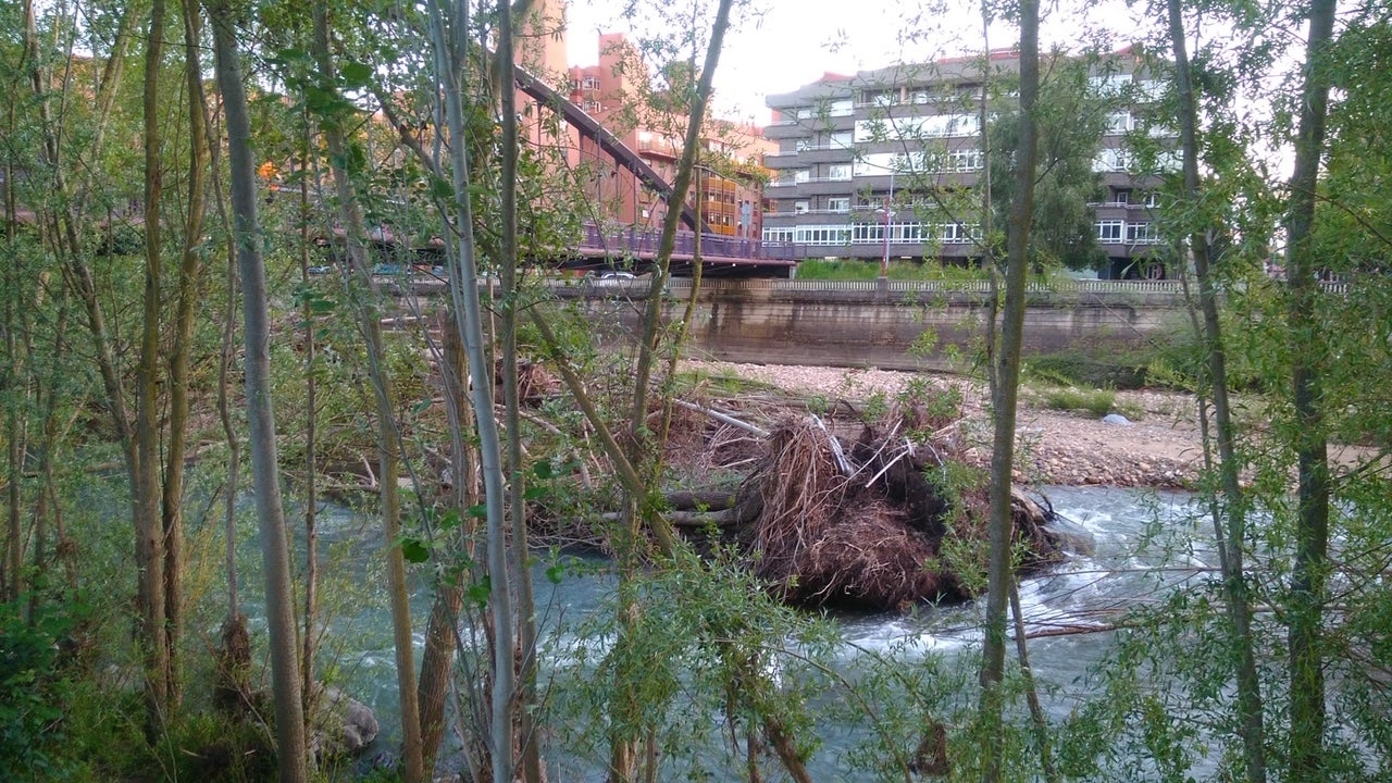 UPL reclama al equipo de gobierno del PSOE más diligencia en el mantenimiento de las zonas verdes de la ciudad. Imágenes facilitadas por la formación leonesista.