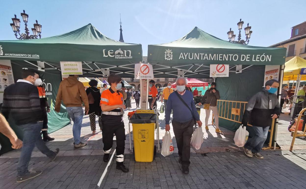Mercado de la Plaza Mayor. 