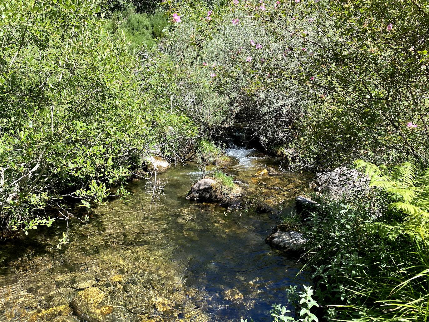 Fotos: De ruta por León: Los Calderones