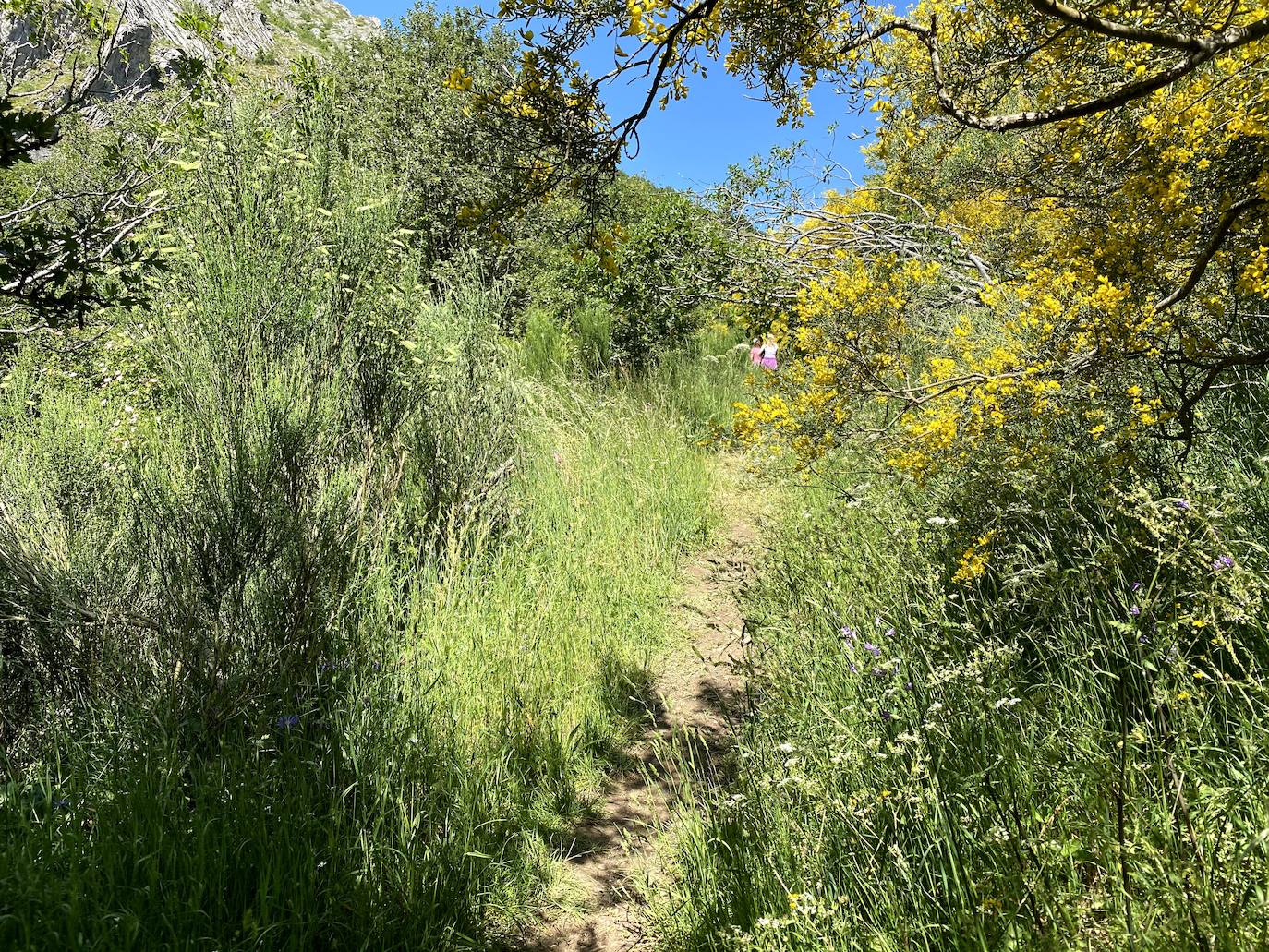 Fotos: De ruta por León: Los Calderones