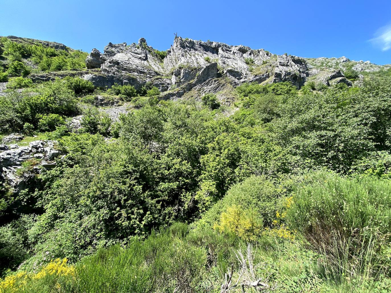 Fotos: De ruta por León: Los Calderones