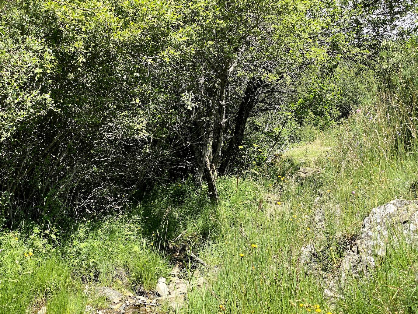 Fotos: De ruta por León: Los Calderones