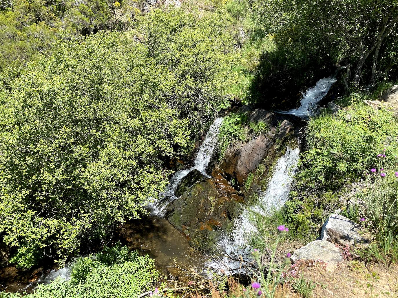 Fotos: De ruta por León: Los Calderones