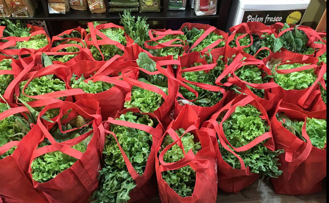 El curso consta de 23 horas online.