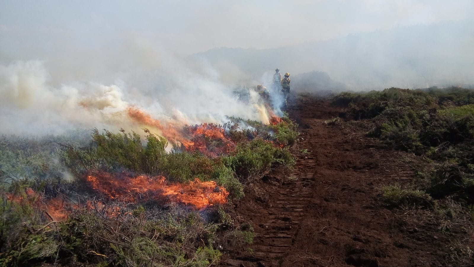 La lucha contra el fuego no cede en Anllarinos del Sil. 