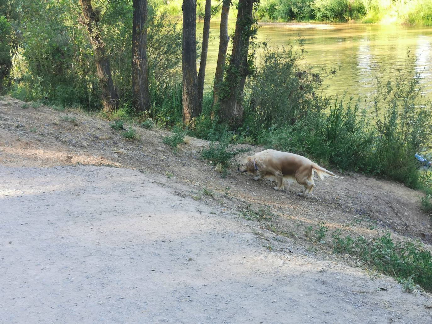 Los leoneses acuden a este parque de la capital para disfrutar del buen tiempo.