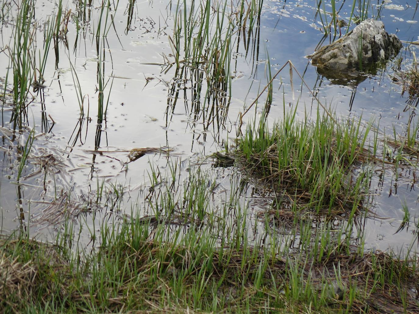 Fotos: Lago de Isoba