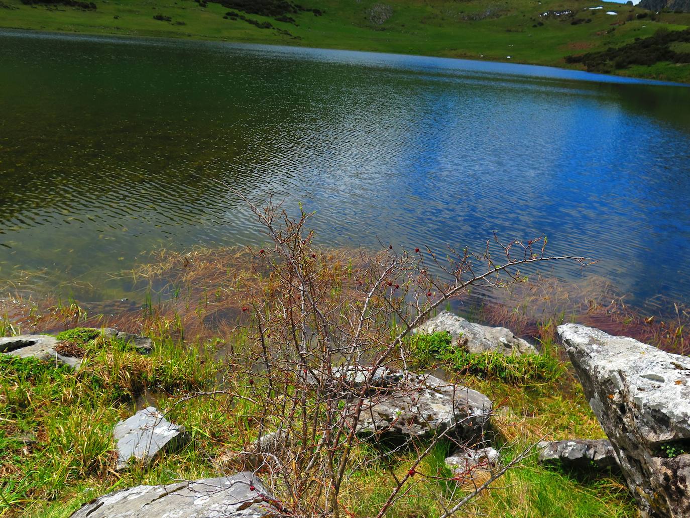 Fotos: Lago de Isoba