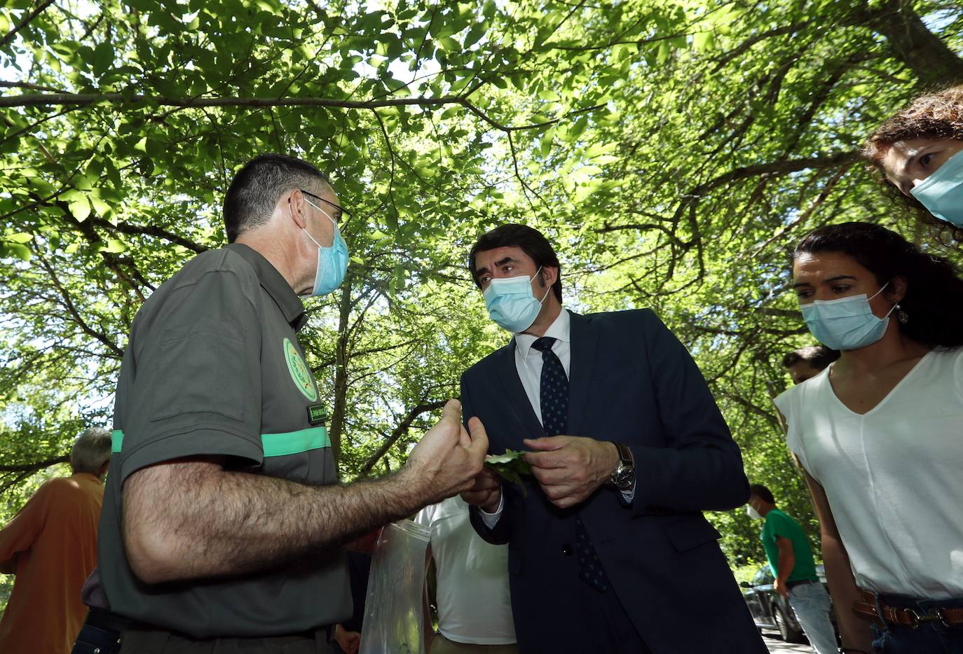 Suárez-Quiñones se muestra optimista sobre los resultados de los trabajos para atajar la avispilla del castaño. 