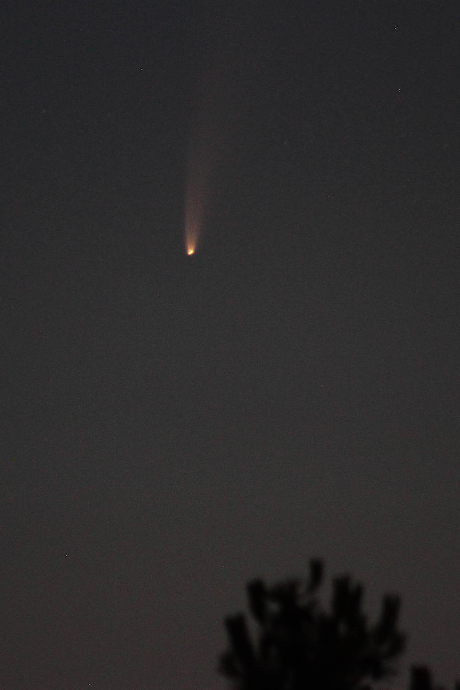 El cometa puede observarse estos días a simple vista en zonas despejadas.